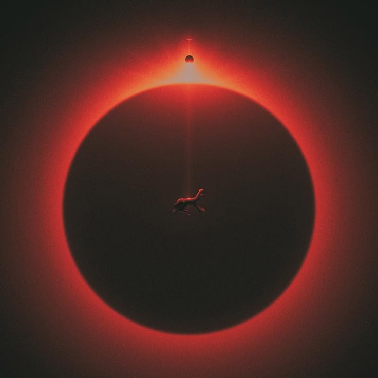 Visionimage