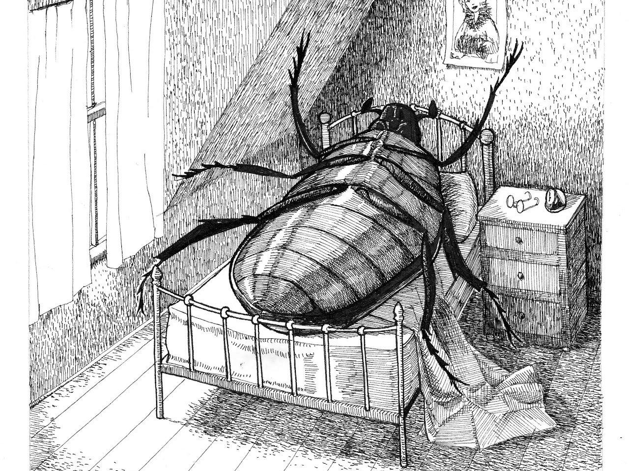 Gregor Samsa's Image