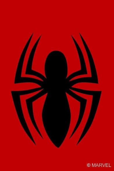 Spider-Man RPG's Image