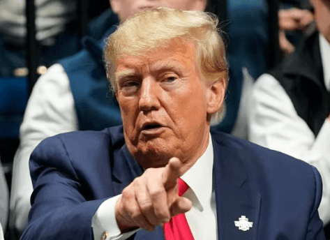 Donald Trump's Image