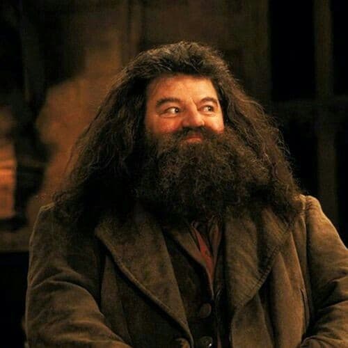 Rubeus Hagrid's Image