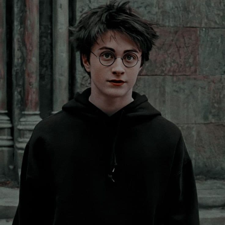 Harry James Potter's Image