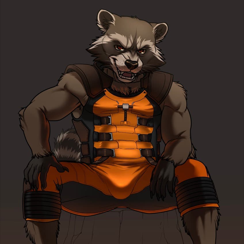 Rocket's Image