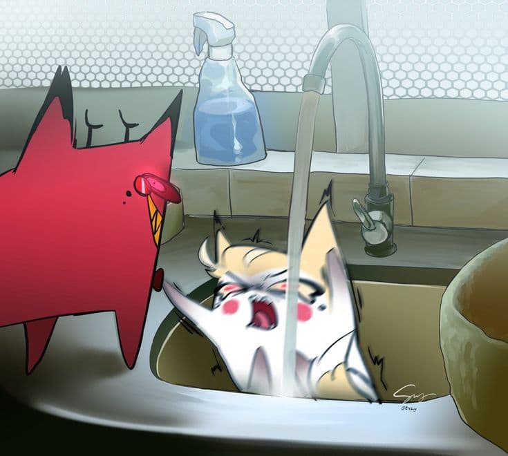 Two New Cats's Image