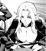 Female Assassin Elf's Image