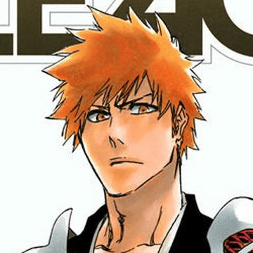 Ichigo Kurosaki's Image