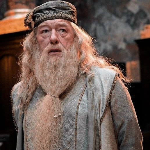 Albus Dumbledore's Image