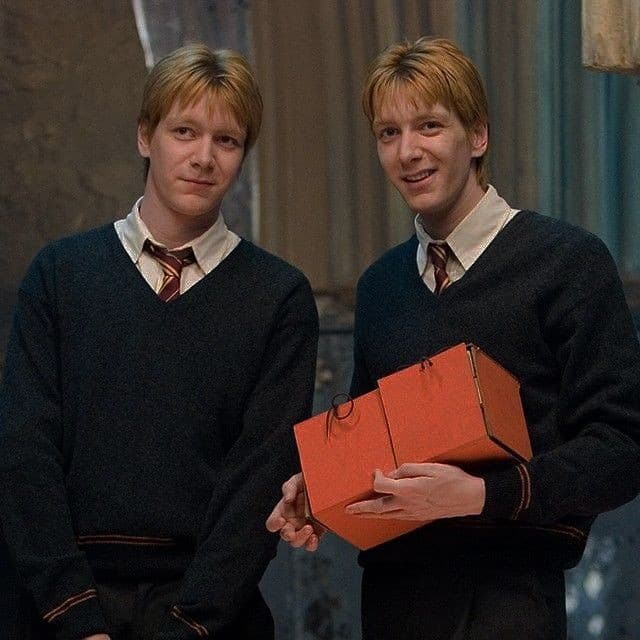 Weasley Twins's Image