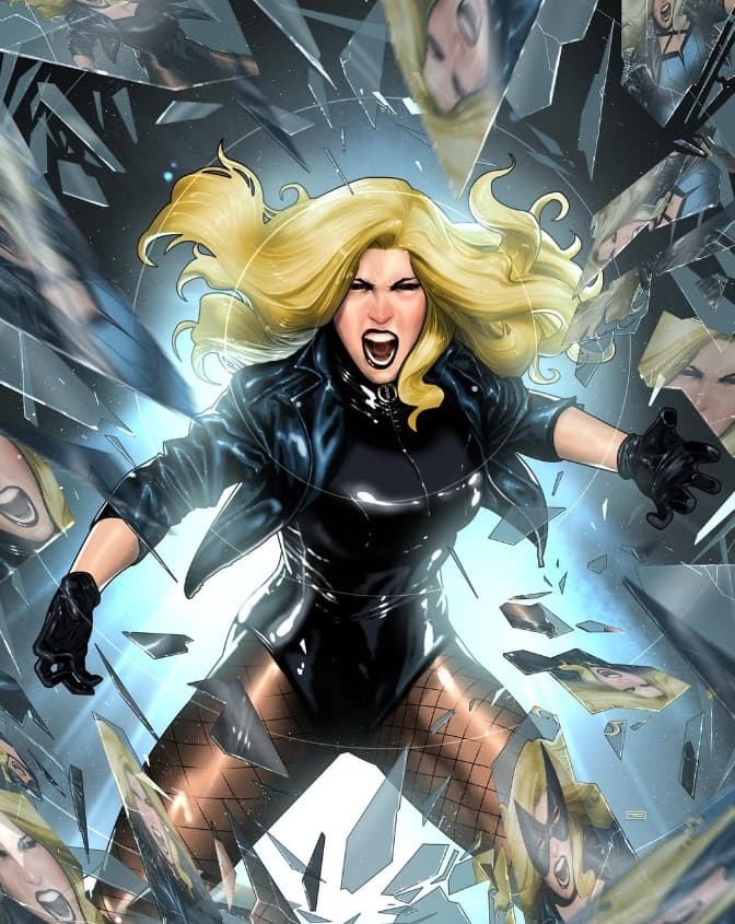 Diana Laurel Lance (Black Canary)'s Image