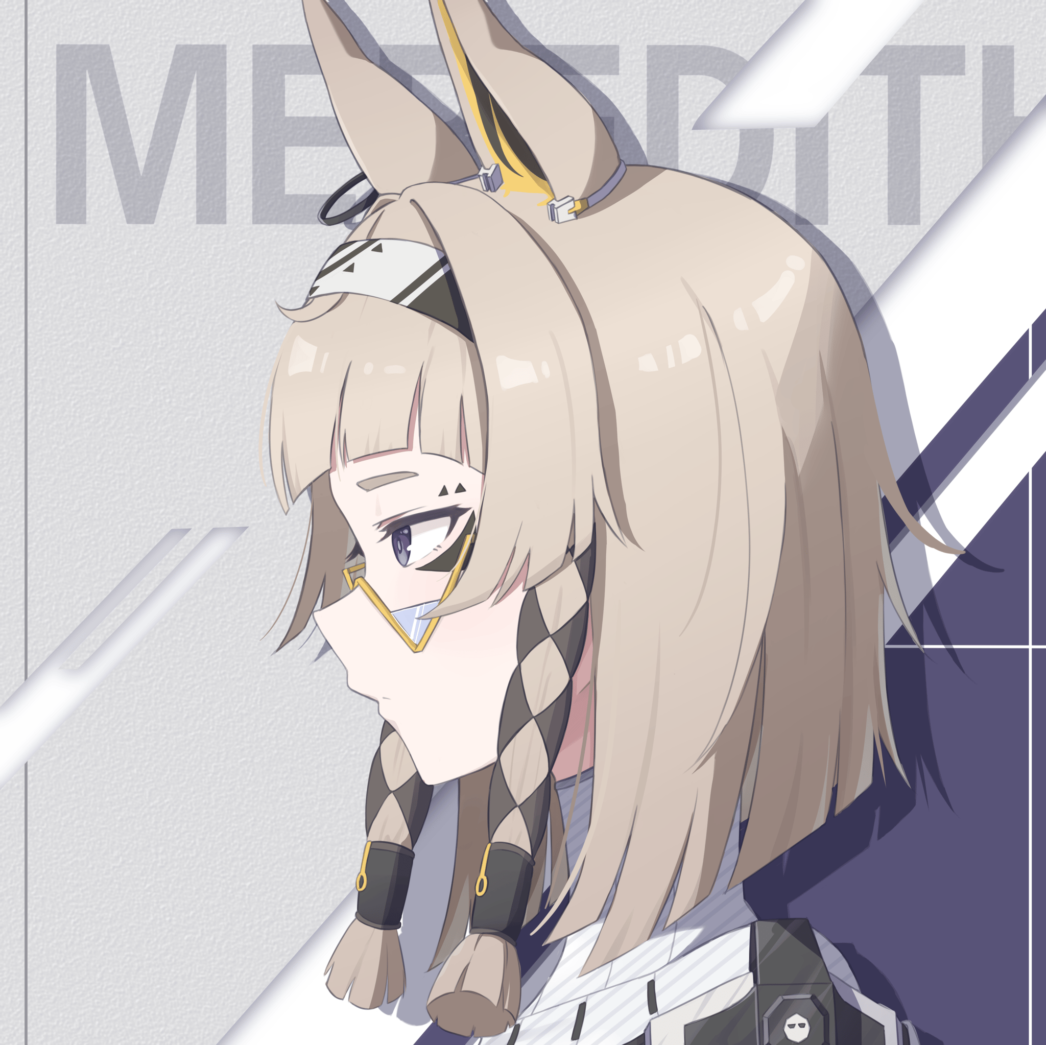 Meredith's Image