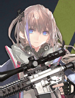 ST AR-15's Image