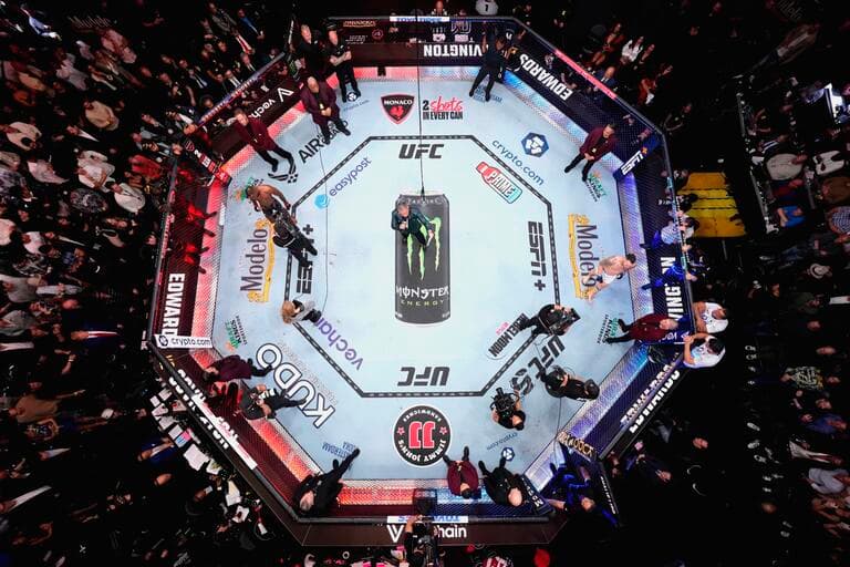 UFC Fight's Image
