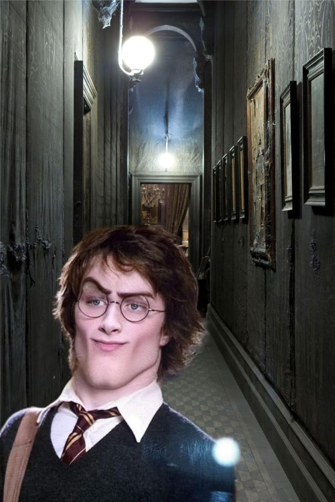 Harry Sigma in Grimmauld Place's Image