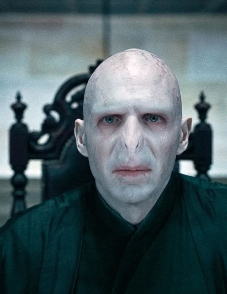 Lord Voldemort's Image