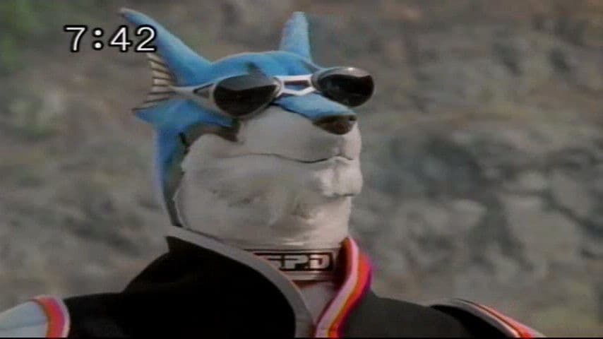 Doggie Kruger's Image