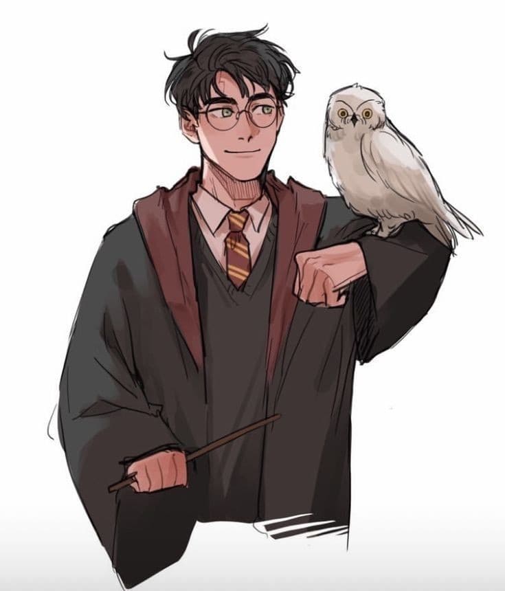 Harry Potter's Image