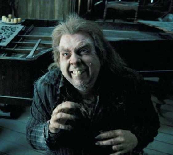 Peter Pettigrew's Image