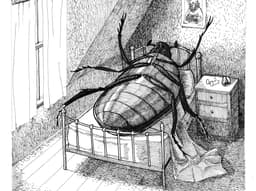 Gregor Samsa