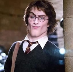 Harry Sigma