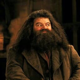 Rubeus Hagrid