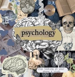 DSM-5-TR Psychology (W.I.P)