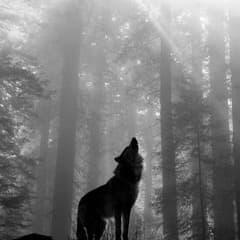 Animal Diction, Canine Centered.