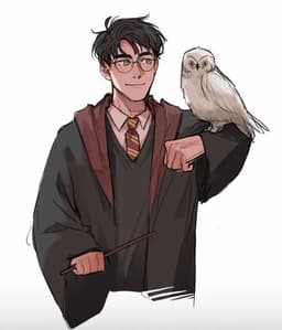 Harry Potter