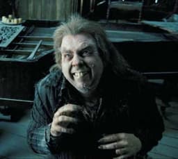 Peter Pettigrew