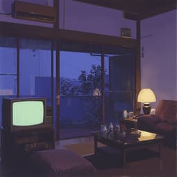 Living in Okayama NEET Lucian House