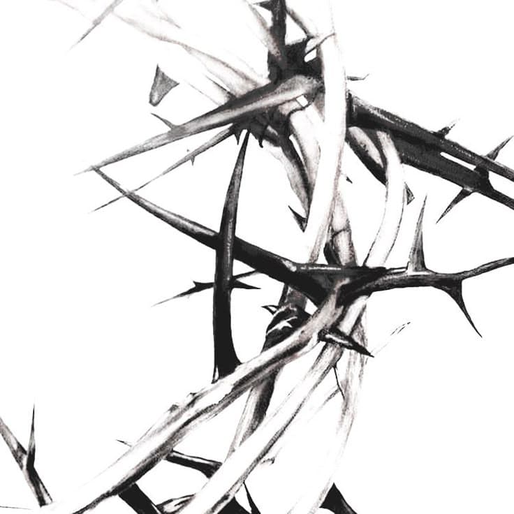 𝖓𝖘𝖋𝖑